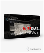 MÜZE KARTLI VE BİLETLİ GEÇİŞ SİSTEMLERİ.png