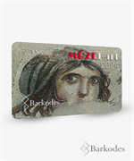 MÜZE KARTLI VE BİLETLİ GEÇİŞ.png