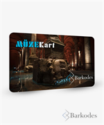 MÜZE ÖDEME SİSTEMİ.png