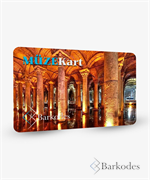 MÜZE ÖDEME SİSTEMLERİ.png